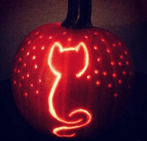 Here Are 15 Amazing And Fun Animal Pumpkin Carving Ideas To Inspire You! Pumpkin Carving Templates Easy, Pumpkin Carved, Pumpkin Cravings, Cute Pumpkin Carving, Disney Pumpkin Carving, Pumkin Carving, Halloween Pumpkin Carving Stencils, Pumpkin Carving Party, Creative Pumpkin Carving