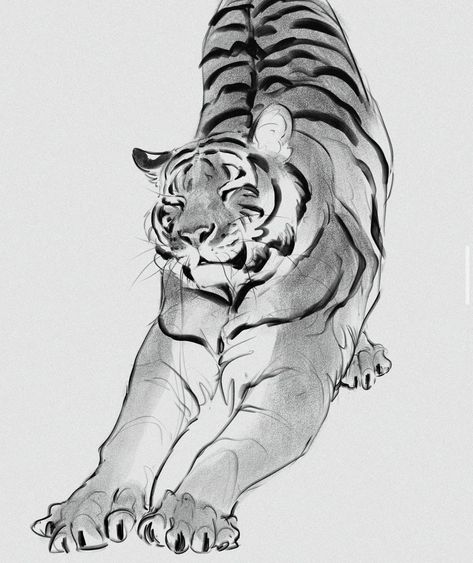 Tiger Sketch, Crazy Tattoos, Tiger Drawing, Big Cats Art, Tiger Art, Animal Sketches, Illustration Character Design, Instagram Page, Cat Drawing