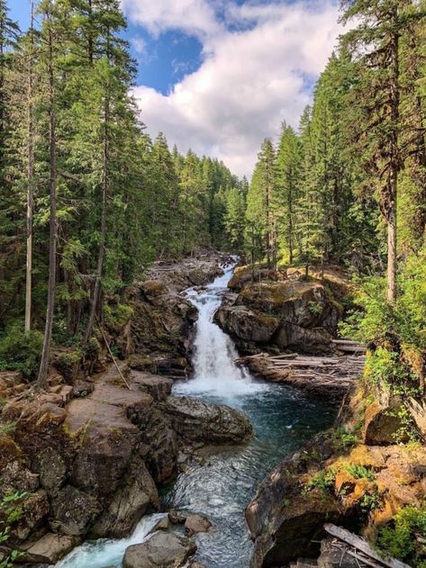 Silver Falls is by no means the tallest waterfall at Mount Rainier, but it's definitely one of the most beautiful. Washington Nature, Waterfall Hike, Silver Falls, Beautiful Hikes, Waterfall Hikes, Beauty In Everything, Mount Rainier National Park, Adventure Bucket List, Rainier National Park