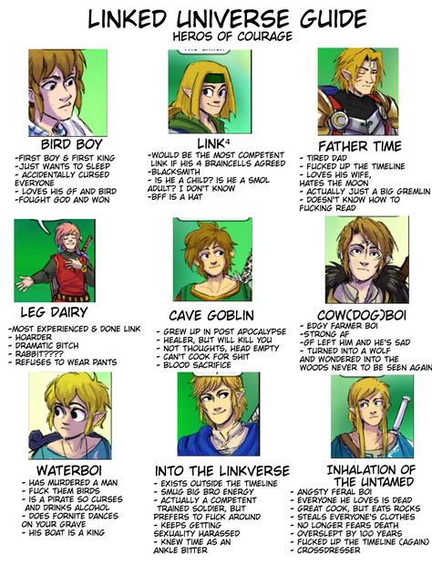 Oot Link, Loz Botw, Linked Universe, Legend Of Zelda Memes, Botw Zelda, Zelda Funny, Video Game Memes, Link Zelda, Legend Of Zelda Breath