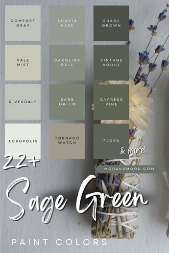 Looking for the perfect sage green? Here are all of my underrated favorites that nobody seems to be talking about. Be the first to start one of these sultry colors trending. Featuring everything from light to dark sage for any space from bedrooms and living room walls to cabinets. Sage Green And Oak Living Room, Sage Wall Color Kitchen, Green Paint Schemes Interior, Light Sage Walls Living Room, Sage Green Built Ins Living Room, Sage Green Kitchen Palette, Dark Sage Green Paint Sherwin Williams, Exterior House Paint Color Combinations Sage Green, Green Sitting Room Walls