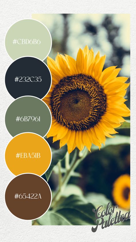 Pantone Spring 2023, Spring 2023 Color Trends, Floral Color Palette, 2023 Color Trends, True Spring, Color Boards, Sunflower Colors, Hex Color Palette, Graphisches Design