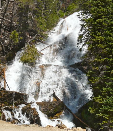 Skalkaho Falls is a short day trip up the Skalkaho Highway from Hamilton, #Montana. It's a fun ride: http://myitchytravelfeet.com/2012/06/30/skalkaho-falls/ Hamilton Mt Montana, Bitterroot Mountains, Hamilton Montana, Montana Hiking, Montana Living, Montana Trip, Montana Vacation, Montana Mountains, Montana Travel