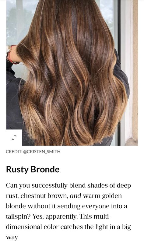 Light Brown Bronze Hair, Bronzed Brown Hair Color, Honey Bronze Hair, Bronze Highlights On Brown Hair, Walnut Balayage, Bronze Brunette Hair, Light Chestnut Brown Hair Color, Golden Bronze Hair Color, Bronze Brown Hair