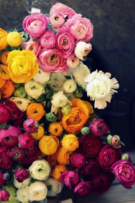 roses and ranunculus نباتات منزلية, Have Inspiration, Colorful Roses, Deco Floral, Delphinium, Arte Floral, Ranunculus, Beautiful Blooms, Love Flowers