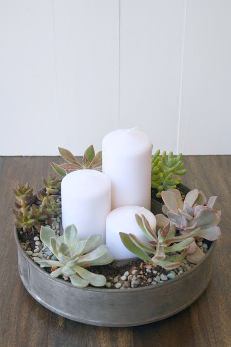 Diy Succulents Centerpiece, Succulent Wedding Decor, Succulent Wedding Centerpieces, Succulents Candles, نباتات منزلية, Succulent Centerpieces, Succulent Garden Diy, Deco Nature, Succulent Wedding