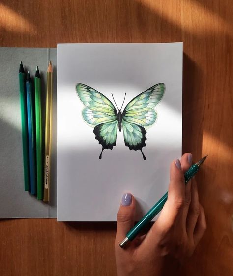 Pencil Colour Butterfly, Butterfly Coloured Pencil Drawing, Colored Pencil Butterfly, Pencil Colour Painting, Colored Pencil Drawing Techniques, Butterfly Sketch, Pencil Drawings Of Flowers, Butterfly Art Painting, Colored Pencil Artwork