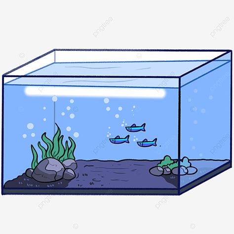 Aquarium Clipart, Aquarium Illustration, Background Aquarium, Illustration Fish, Fish Png, Fish Icon, Remove Background From Image, Fish Vector, Night Background