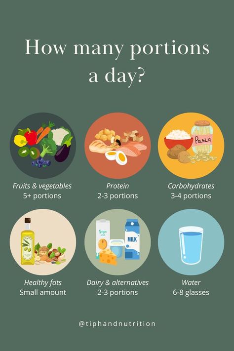 How many portions a day? - tiphandnutrition Nutrition Group Activities For Adults, Daily Nutrition Guide, Food Groups Chart, Portion Size Guide, Plant Based Proteins, A Balanced Meal, Easy School Lunches, Meatless Recipes, Best Fat Burning Foods