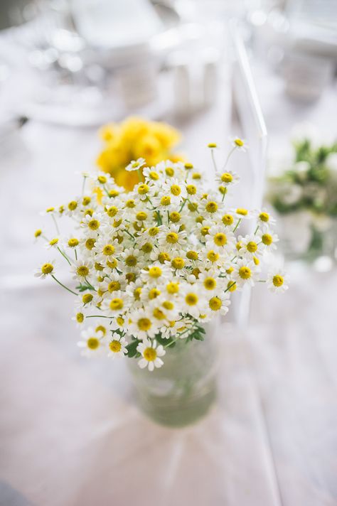 Daisy Wedding Centerpieces, Wedding Daisies, Creative Wedding Centerpieces, Yellow Grey Weddings, Diy Wedding Bouquets, Deer Wedding, Daisy Party, Simple Wedding Centerpieces, Sunflowers And Daisies