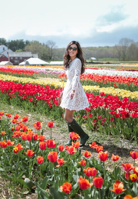 flower fields hunter rain boots boston fashion blogger Flower Field Outfit Ideas, Tulip Picking Outfit, Tulip Farm Outfit, Rain Boots Outfit Spring, Flower Picking Outfit, Flower Field Outfit, Rainy Boots, Field Outfit, Farm Outfit