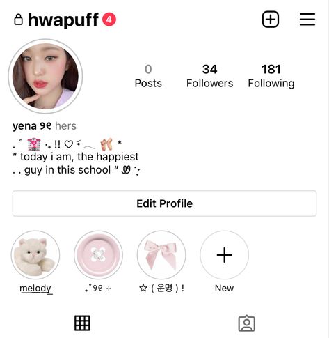 Pink Instagram Accounts, Cute Instagram Layout Ideas, Pink Username Ideas, Wonyoung Bio Ideas, Pink Bio Instagram, Twice Username Ideas Kpop, Wonyoung Phone Layout, Pink Instagram Profile, Soft Bios Instagram