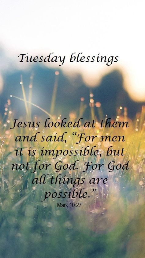 Happy Tuesday God Bless You, Tuesday Bible Blessings, Tuesdays Blessings, Tuesday Encouragement, Tuesday Bible Verse, Tuesday Blessings Inspiration, Tuesday Blessings Mornings, Bible Verses For Hard Times, Happy Tuesday Images