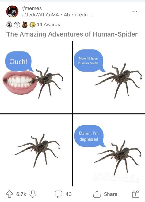 Spider Mythology, Spider Human, It's Funny, Really Funny Joke, Hysterically Funny, Internet Funny, Really Funny Pictures, Really Funny Memes, Just For Laughs Videos