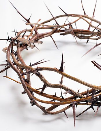 Easter Religious, Christian Traditions, Jesus Resurrection, Crown Of Thorns, Holy Land, Stock Images Free, Jesus Christ, White Background, Photo Image