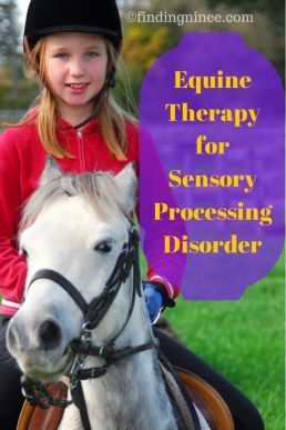 Equine Therapy Activities, Equine Assisted Therapy, Therapeutic Horseback Riding, Horse Business, Therapeutic Riding, Horse Lessons, Equine Therapy, Horse Therapy, Therapy Animals