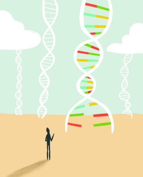 Genetic counseling a growing field - SFGate Genetic Counselor, Genetic Counseling, Survivor Guilt, Types Of Diseases, Human Genome, Biomedical Science, Genetic Testing, Genetic Disorders, 7th Grade Science