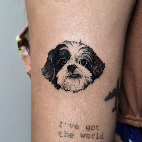 Shitzu Dog Tattoo, Shih Tzu Memorial Tattoo, Shihpoo Tattoo, Dogs Tatoos Ideas, Shin Tzu Tattoo, Shitzu Tattoo Ideas, Shihtzu Tattoos Minimalist, Dog Tattoo Shih Tzu, Shitzu Tattoos