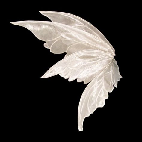 Small Fairy Wings, Fairy Wings Aesthetic, Wings Png, White Angel Wings, Wings Art, Fairy Aesthetic, Dark Fairy, White Wings, Fairy Wings