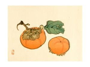 Persimmon Art: Prints, Paintings, Posters & Wall Art | Art.com Giclee Painting, Online Wall Art, Plant Illustration, Persimmon, Large Art, Travel Art, Asian Art, Japanese Art, High Quality Art Prints