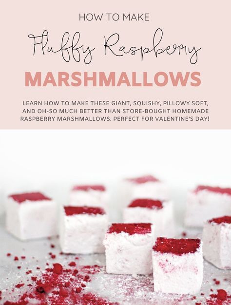 Ever made homemade marshmallows? They are INCREDIBLE. Learn how to make these giant, squishy, pillowy soft, and oh-so much better than store-bought Homemade Raspberry Marshmallows. Perfect for Valentine’s Day! | @glitterinclexi | GLITTERINC.COM Raspberry Marshmallows, Creamy Pie, Gooey Brownies, Freeze Dried Raspberries, Marshmallow Treats, Dried Raspberries, Homemade Marshmallows, Chocolate Nutella, Decadent Cakes