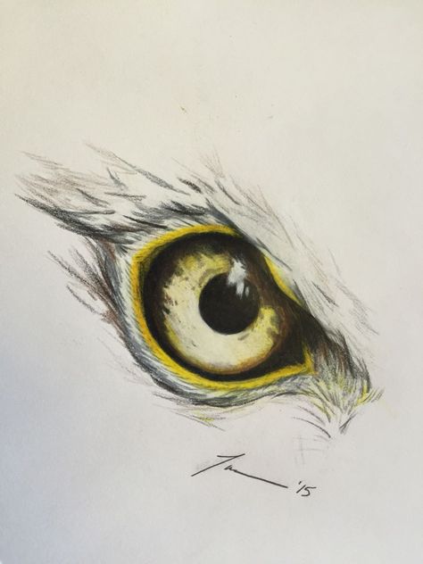 Eagle Eye Drawing, Eye Drawing Easy, Eagle Tattoo Designs, View Drawing, Regard Animal, Vogel Tattoo, Animal Tattoo Ideas, Eagle Drawing, Eagle Painting