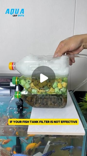 Diy Aquarium Filter, Small Fish Tanks, Diy Aquarium, Aquarium Filter, Small Fish, Fish Tanks, Instagram Diy, October 5, Aquariums