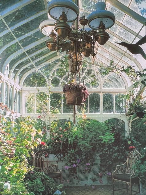 Glass House Garden, Big Butterfly, Glass Room, Reading Room, Gorgeous Gardens, Butterfly Garden, Glass House, Old House, Future House