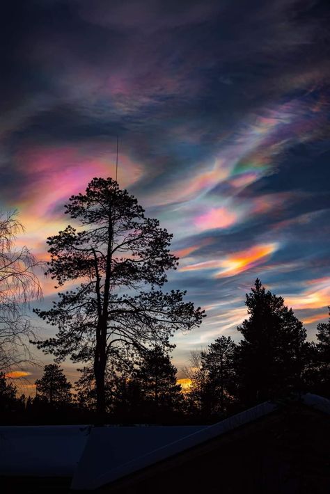 Polar Stratospheric Clouds, Stratospheric Clouds, Cloud Wallpaper, Morning View, View Photo, Pretty Sky, Beautiful Nature Scenes, Pictures To Paint, Colorful Wallpaper