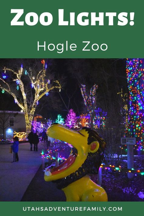 Zoo Lights at Hogle Zoo are such a fun Christmas event. See the lights, see the animals, and even catch Santa! - Utah's Adventure Family Zoo Entrance, Utah Winter, Zoo Lights, Train Light, Light Tunnel, Utah Adventures, Adventure Family, Winter Bucket List, Christmas Light Displays