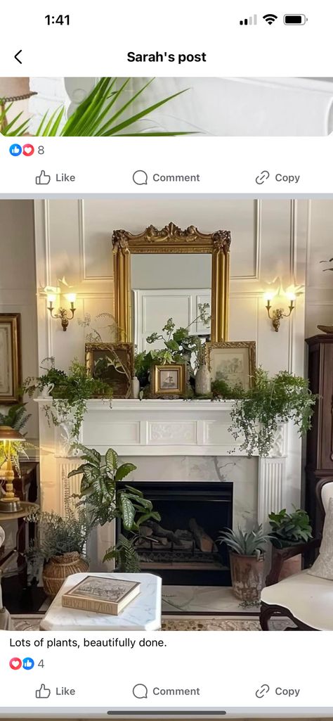 Plants On Fireplace, Fireplace Mantle, Drawing Room, Live Plants, Fireplace, Plants