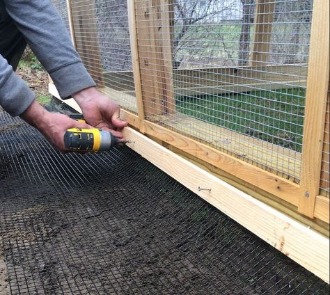 Quail Coop, Walk In Chicken Coop, Chicken Coop Garden, Backyard Chicken Coop Plans, Backyard Farm, Diy Chicken Coop Plans, Urban Chickens, Chicken Farming, Backyard Chicken Farming