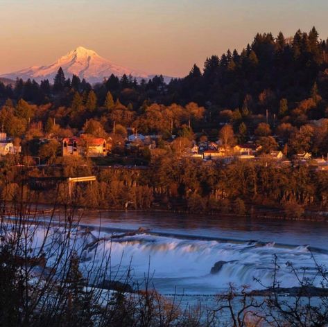 Such a beautiful shot of Mt.Hood and historic Willamette Falls in West Linn, Oregon. West Linn Oregon, Mt Hood Oregon, Aesthetic Scenery, Mount Hood, Rose City, Mt Hood, Watercolor Projects, Scenic Beauty, Relocation