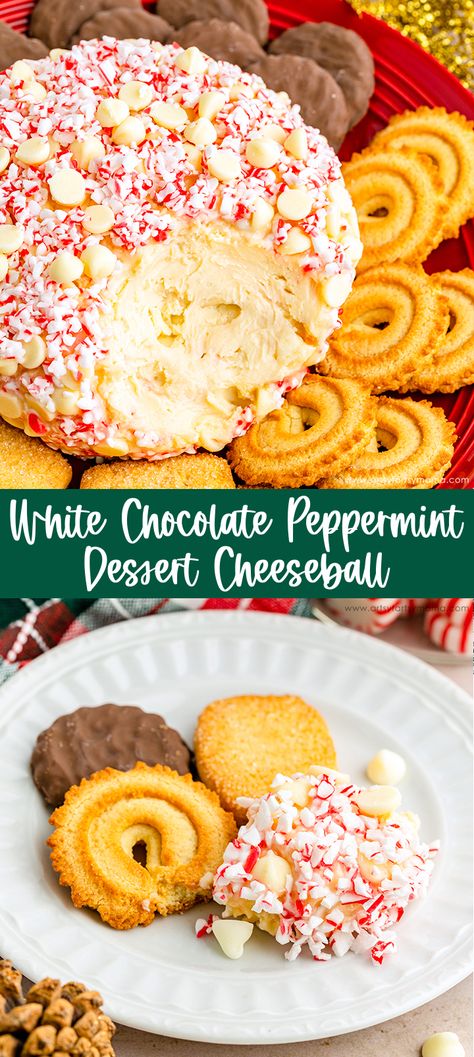 Christmas Desert Cheeseball, Christmas Dessert Cheeseball, Dessert Cheese Ball Christmas, Thanksgiving Cheeseball Recipes, Dessert Cheese Balls, Christmas Cheeseball Ideas, Christmas Dessert Board Ideas, Christmas Cheeseball Recipes, Dessert Cheeseball Recipes