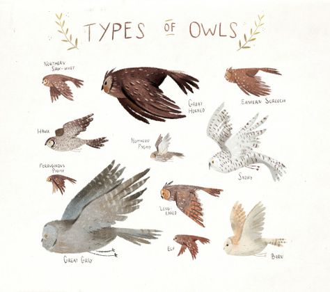 taryndraws: a squad of squawks Potter Art, Owl Print, Owl Art, Harry Potter Art, Drawing Tutorials, Fantastic Beasts, Narnia, Animal Illustration, Book Illustration