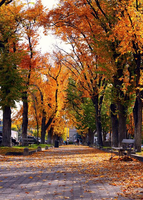 The town square, Prescott, Arizona Arizona Autumn, Arizona Beauty, Arizona Adventure, Prescott Arizona, Vintage Arizona, Prescott Az, State Of Arizona, Arizona Travel, Town Square