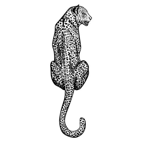 Cheetah Vector, Leopard Sketch, Cheetah Drawing, Leopard Drawing, Jaguar Tattoo, Leopard Tattoos, Silhouette Sketch, Animal Sketches, Leopard Animal