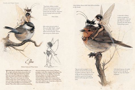 Celtic Faeries, Celtic Creatures, Jean Baptiste Monge, Fantasy Notebook, Fair Folk, Fantasy Kingdom, Fairytale Creatures, Fantasy Authors, Art Et Illustration