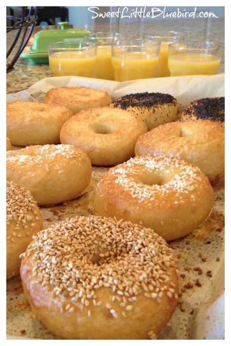 THE BEST BAGELS RECIPE!!   - This tried & true recipe makes the BEST bagels ever! If you've been searching for the perfect bagel...look no further!  !  #BestBagelsRecipe #PeterReinhartBagels Creamy Garlic Penne Pasta, Crazy Cake Recipes, Ny Bagel, Water Room, Bagels Recipe, Best Bagels, Homemade Bagels, Bagel Recipe, Bread Bun