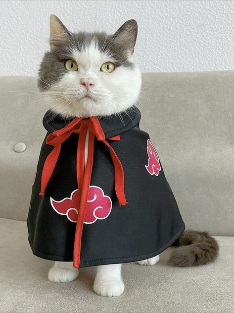 Cat Cloak Anime Ninja Costume，Halloween Pet Clothes,Pet Cloak Cosplay Party for Small Dogs Cats Clothing Cloak Anime, Ninja Halloween, Small Dog Costumes, Pet Anime, Pet Costumes Cat, Cat Cosplay, Chat Halloween, Easter Dog, Cat Halloween Costume