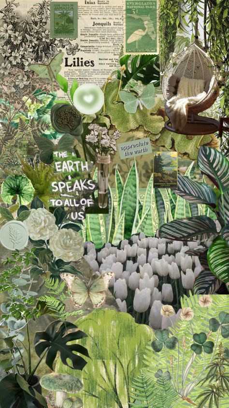 Vintage Plant Aesthetic Wallpaper, Earth Fairy Aesthetic, Core Wallpaper, Earth Wallpaper, Nature Collage, Biology Art, Fairy Wallpaper, Earthy Aesthetic, Collage Art Projects