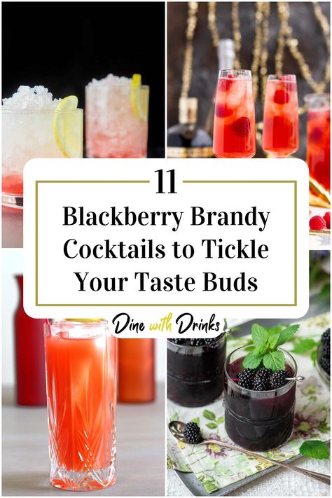 Collage of 4 blackberry brandy cocktails. Blackberry Brandy Drinks, Brandy Cocktail Recipes, Brandy Sangria, Blackberry Brandy, Brandy Drink, Triple Sec Cocktails, Brandy Recipe, Blackberry Cocktail, Rum Alcohol