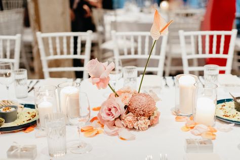 #florals #styling #florist #tableflowers #eventdesign #sydneyflorist #peach #modern #anthirium Peach Colour Palette, Circular Arch, Peach Color Palettes, Natural Floor, Table Flower Arrangements, Event Agency, Peach Colour, Creative Event, Sydney Wedding