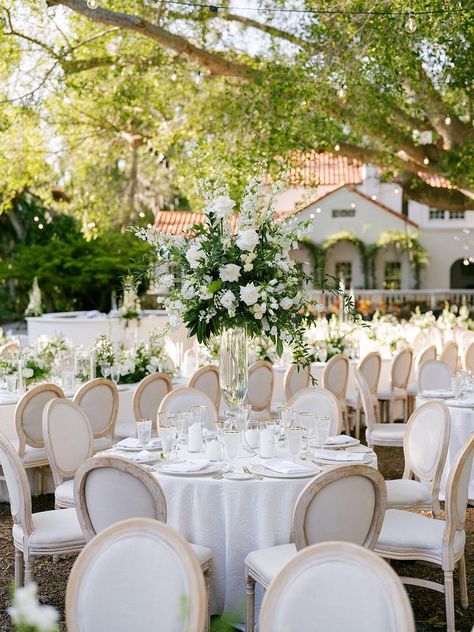 An All-White Secret Garden Wedding at Marie Selby Botanical Gardens Hidden Garden Wedding, Marie Selby Botanical Gardens Wedding, Secret Garden Wedding, Hidden Garden, Future Wedding Plans, Wedding Plans, All White, Garden Wedding, Future Wedding