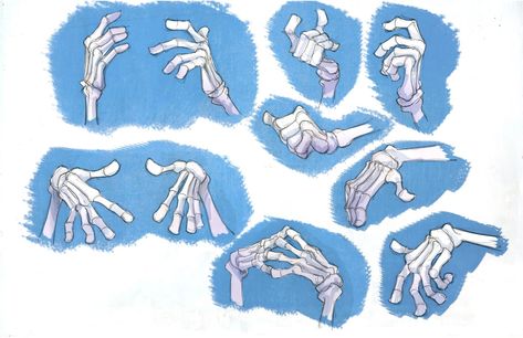 Skeleton Hands Drawing, Hand Study, Character Design Tips, Skeleton Anatomy, Skeleton Drawings, Hand Drawing Reference, Anatomy Study, Skeleton Art, Undertale Drawings