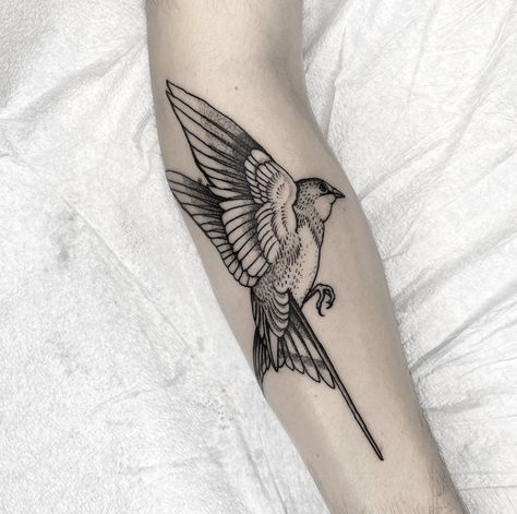 Black Phoebe Bird Tattoo, Linework Bird Tattoo, Seabird Tattoo, Bird Tattoo Black And Grey, Black And Grey Bird Tattoo, Cornerstone Tattoo, Bird Tattoo Arm, Blackbird Tattoo, New Tattoo Styles