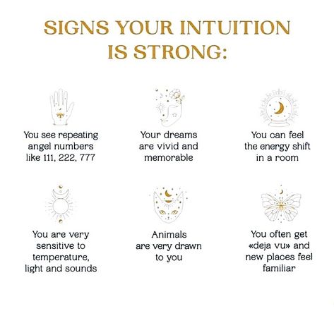 SIGNS THAT YOUR INTUITION IS STRONG 🌱💫🪬💕💎🦋🧿🙏🏻 🦋 You see synchronicity in numbers #111 #1111 #222 # 444 #555 #888 #angel numbers 🧿 Your #dreams are vivid and memorable 💫 Your self aware of #energy within the environment or other peoples energy 💦 Your a sensitive soul - react to heat, light and sound 🎶 🦢 Animals are drawn to you 🌈 You often get DejaVu or feel like something is familiar in a new place #spirituality #spiritualawakening #awesome #awakening #enlightenment #enlightened... Angel Energy, 111 Angel Number, 444 Angel Number, Intuition Angel Number, 444 Angel Numbers, 888 Angel Number, Signs Your Intuition Is Strong, Divine Numbers Spiritual, Synchronicity Quotes