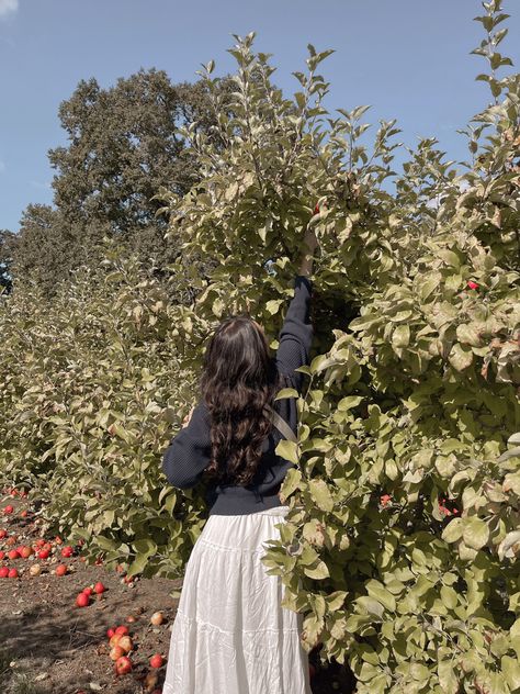 Apple picking, fall activities, white skirt outfit, sweater outfit, curled hair Apple Farm Outfit, Apple Picking Aesthetic Outfit, Fall White Skirt Outfits, Apple Picking Fits, Pumpkin Patch Fits, Apple Picking Photoshoot, Apple Picking Aesthetic, Apple Orchard Photoshoot, Apple Orchard Outfit