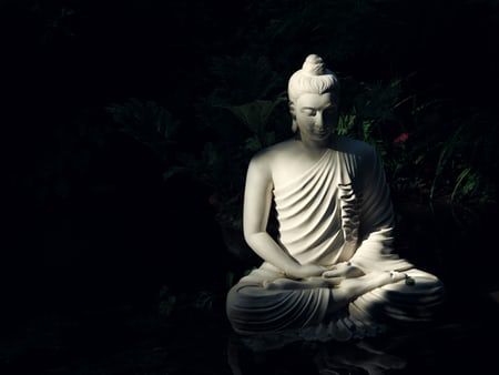 white Buddha statue on body of water photo – Free Buddha Image on Unsplash White Buddha Statue, Buddha Gold, Yoga Symbols, Creative Commons Images, Siddhārtha Gautama, Gautama Buddha, Buddha Image, Buddhist Temple, Photos Hd