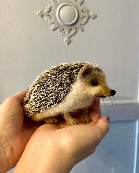 Meet Hettie Hedgehog (Standing at 10 cm tall and 14.5cm long with horsehair whiskers and a special mohair spiky fabric. #hedgehog #hedgie #hedgiesofinstagram #hedgehoglove #hedgehogs #needlefeltedhedgehog #needlefeltedanimal #needlefeltersofinstagram #needlefelting #thefeltedhug Hedgehog Standing, Fabric Hedgehog, Felted Hedgehog, Felt Ideas, Needle Felting Projects, Felted Animals, Needle Felt, Needle Felted Animals, Hedgehogs